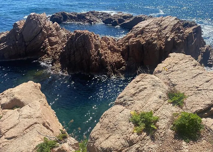 Cala Salions, Amplio Con Visitas Al Mar *