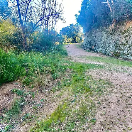 Appartamento Cala Salions, Amplio Con Visitas Al Mar Tossa de Mar