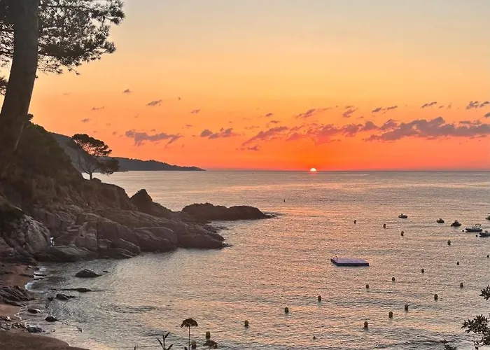 Cala Salions, Amplio Con Visitas Al Mar Appartamento *