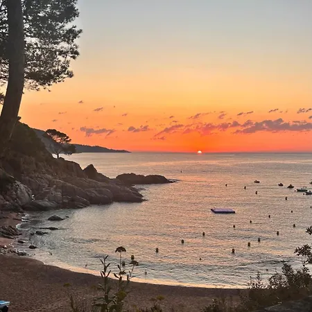 Cala Salions, Amplio Con Visitas Al Mar Appartamento *